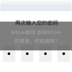 Bitpie教程 选择Bitpie的原因，你知道吗？