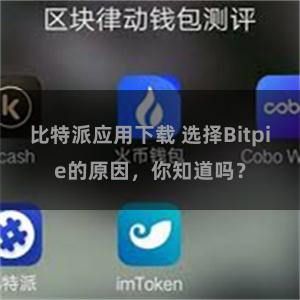 比特派应用下载 选择Bitpie的原因，你知道吗？