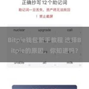 Bitpie钱包新手教程 选择Bitpie的原因，你知道吗？