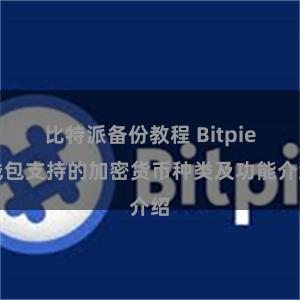 比特派备份教程 Bitpie钱包支持的加密货币种类及功能介绍