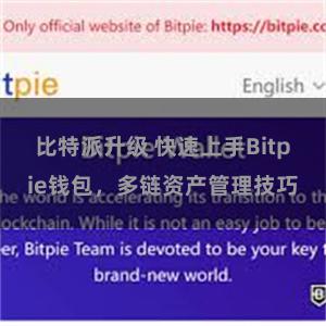 比特派升级 快速上手Bitpie钱包，多链资产管理技巧