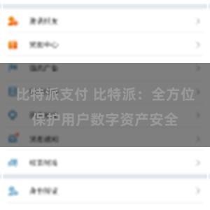 比特派支付 比特派：全方位保护用户数字资产安全