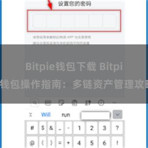 Bitpie钱包下载 Bitpie钱包操作指南：多链资产管理攻略