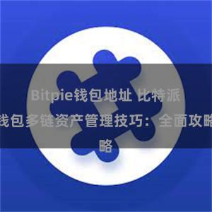 Bitpie钱包地址 比特派钱包多链资产管理技巧：全面攻略