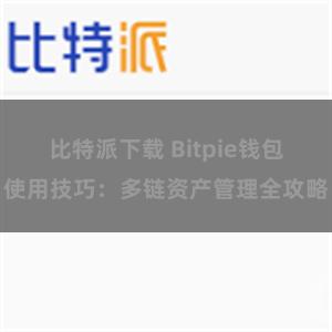 比特派下载 Bitpie钱包使用技巧：多链资产管理全攻略