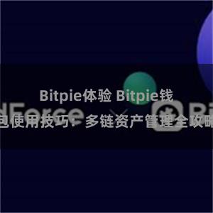 Bitpie体验 Bitpie钱包使用技巧：多链资产管理全攻略