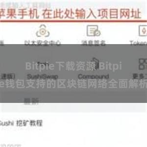 Bitpie下载资源 Bitpie钱包支持的区块链网络全面解析