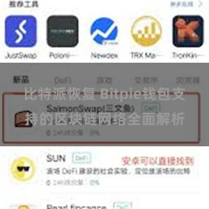 比特派恢复 Bitpie钱包支持的区块链网络全面解析