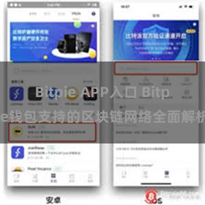 Bitpie APP入口 Bitpie钱包支持的区块链网络全面解析