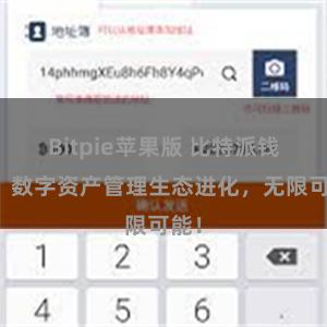 Bitpie苹果版 比特派钱包：数字资产管理生态进化，无限可能！