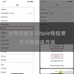 比特派新手 Bitpie钱包常见问题解决方法