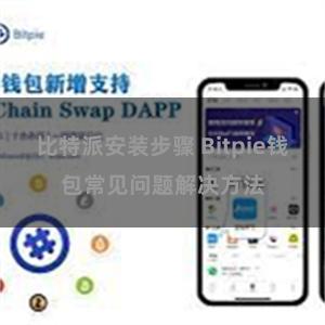 比特派安装步骤 Bitpie钱包常见问题解决方法