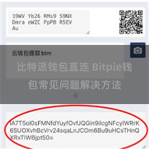 比特派钱包直连 Bitpie钱包常见问题解决方法