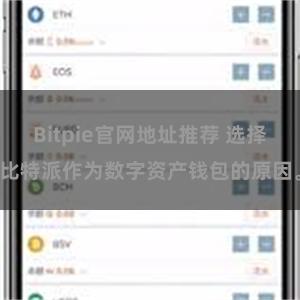 Bitpie官网地址推荐 选择比特派作为数字资产钱包的原因。