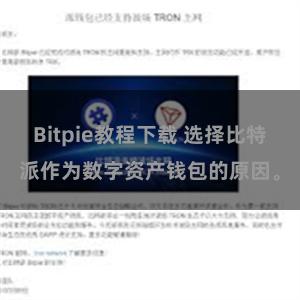 Bitpie教程下载 选择比特派作为数字资产钱包的原因。