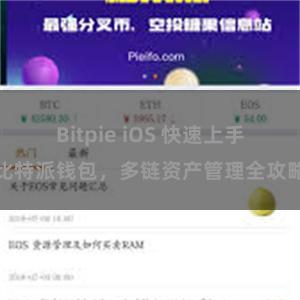 Bitpie iOS 快速上手比特派钱包，多链资产管理全攻略