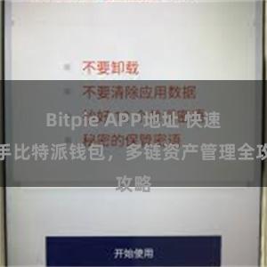 Bitpie APP地址 快速上手比特派钱包，多链资产管理全攻略