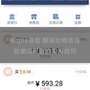 Bitpie体验 解决比特派钱包使用问题的实用技巧