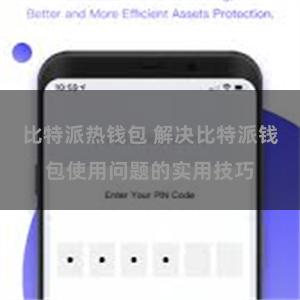 比特派热钱包 解决比特派钱包使用问题的实用技巧