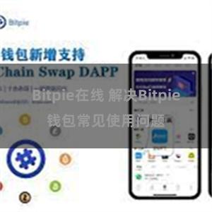 Bitpie在线 解决Bitpie钱包常见使用问题