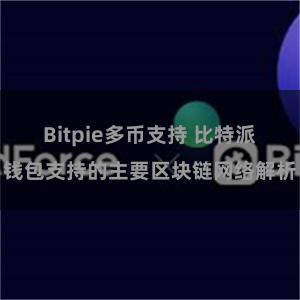 Bitpie多币支持 比特派钱包支持的主要区块链网络解析