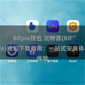 Bitpie钱包 比特派(Bitpie)钱包下载指南：一站式安装体验