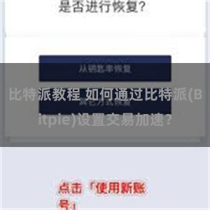 比特派教程 如何通过比特派(Bitpie)设置交易加速？