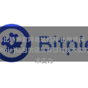 比特派官网地址推荐 比特派(Bitpie)钱包的团队背景与技术实力