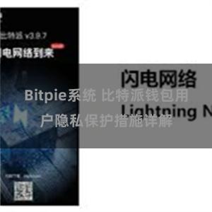 Bitpie系统 比特派钱包用户隐私保护措施详解