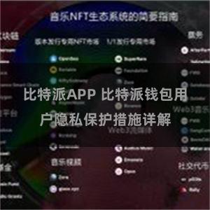 比特派APP 比特派钱包用户隐私保护措施详解