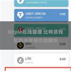 Bitpie在线管理 比特派钱包的冷存储功能解析