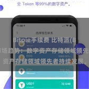 Bitpie手续费 比特派(Bitpie)钱包市场趋势：数字资产存储领域领先者持续发展。