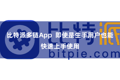 比特派多链App  即使是生手用户也能快速上手使用