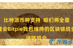 比特派币种支持 咱们将全面理会Bitpie钱包维持的区块链鸠合