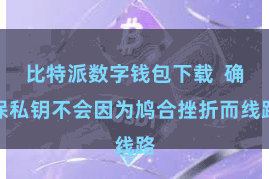 比特派数字钱包下载  确保私钥不会因为鸠合挫折而线路