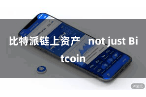 比特派链上资产   not just Bitcoin